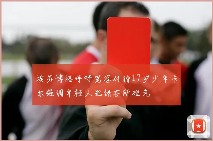 埃芬博格呼吁宽容对待17岁少年卡尔强调年轻人犯错在所难免
